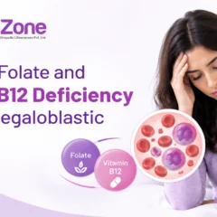 How Can Folate and Vitamin B12 Deficiency Lead to Megaloblastic Anemia?