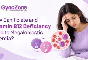 How Can Folate and Vitamin B12 Deficiency Lead to Megaloblastic Anemia